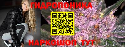 spice Гудермес