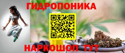 spice Гудермес