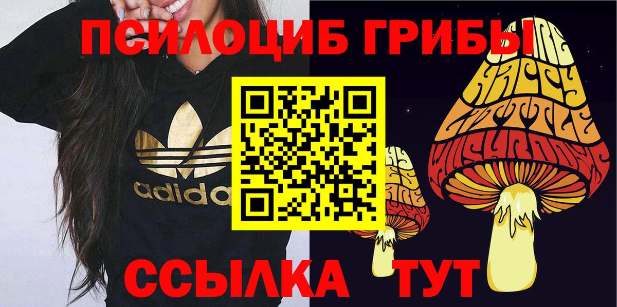 Грозный  Галлюциногенные грибы Magic Shrooms  Вход с VPN 