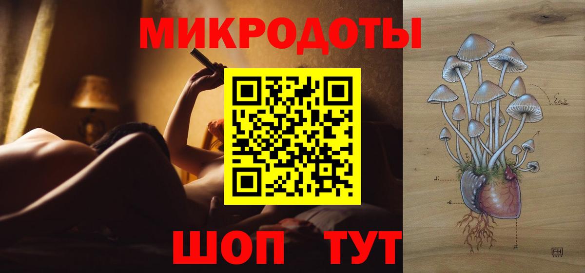 Псилоцибиновые грибы Cubensis Грозный